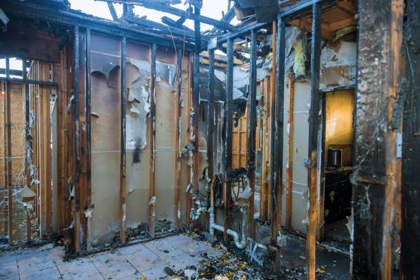 Professional Fire Damage Removal technician working in Thornton, PA
