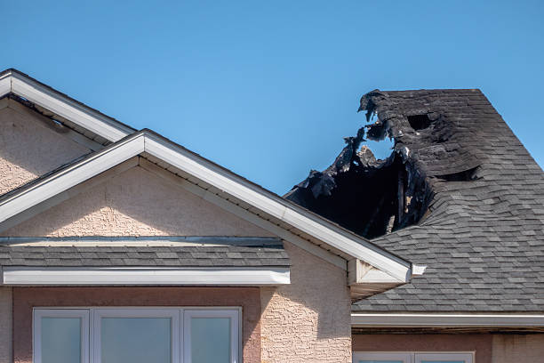 Top rated local Fire Damage Removal specialists in Thornton, PA